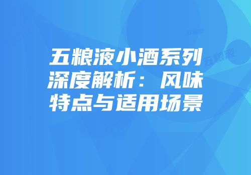 五粮液小酒系列深度解析：风味特点与适用场景