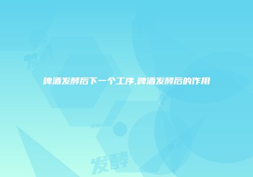 啤酒发酵后下一个工序,啤酒发酵后的作用