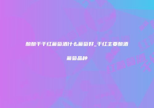 酿酿干干红葡萄酒什么葡萄好_干红主要酿酒葡萄品种