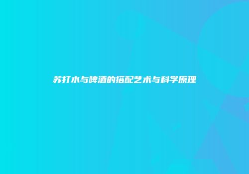 苏打水与啤酒的搭配艺术与科学原理
