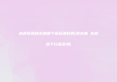 赤霞珠和橡木桶哪个葡萄酒好喝(橡木桶 赤霞珠干红葡萄酒)