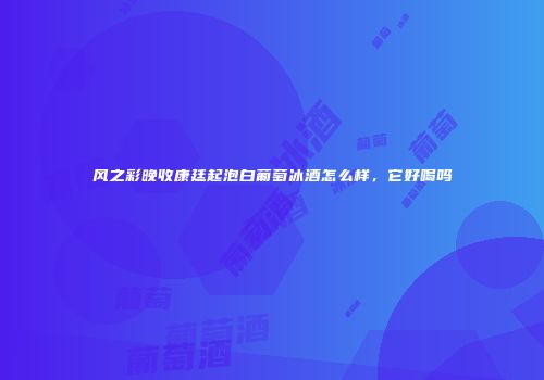 风之彩晚收康廷起泡白葡萄冰酒怎么样，它好喝吗