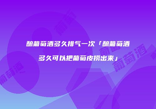 酿葡萄酒多久排气一次「酿葡萄酒多久可以把葡萄皮捞出来」