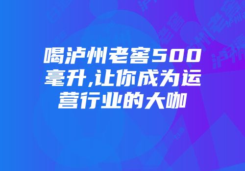 喝泸州老窖500毫升,让你成为运营行业的大咖