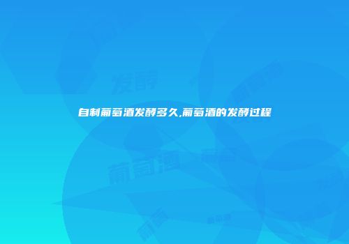 自制葡萄酒发酵多久,葡萄酒的发酵过程