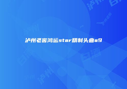 泸州老窖鸿运star精制头曲a9