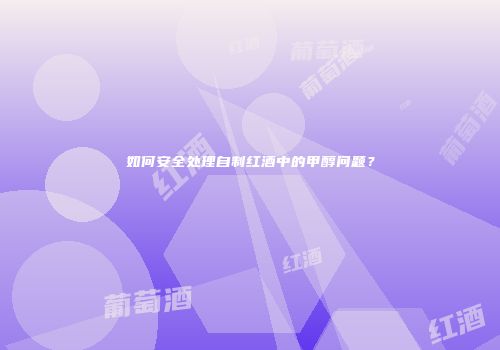 如何安全处理自制红酒中的甲醇问题？