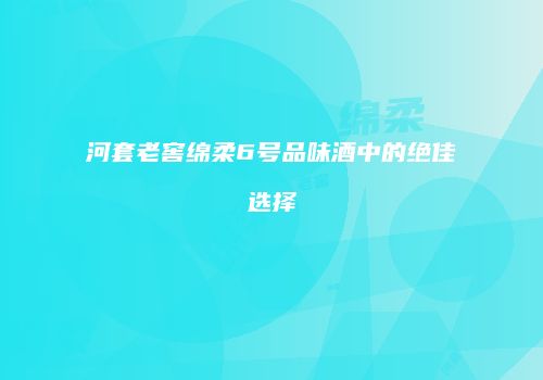 河套老窖绵柔6号品味酒中的绝佳选择