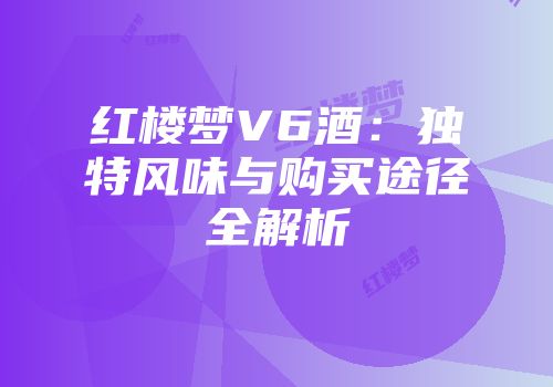 红楼梦V6酒：独特风味与购买途径全解析