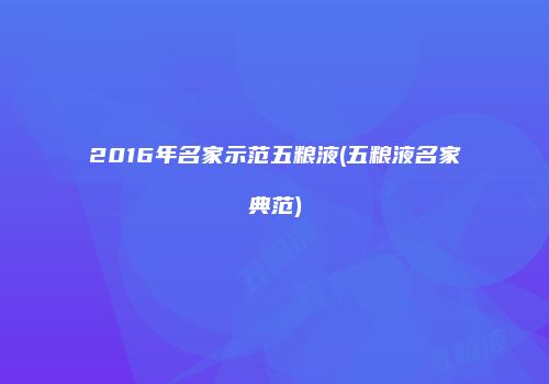 2016年名家示范五粮液(五粮液名家典范)