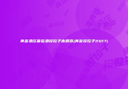 奔富酒庄葡萄酒设拉子赤霞珠(奔富设拉子2017)