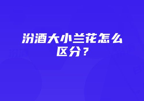 汾酒大小兰花怎么区分？