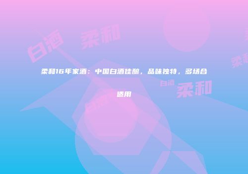 柔和16年家酒：中国白酒佳酿，品味独特，多场合适用