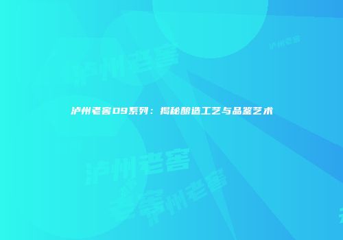 泸州老窖D9系列：揭秘酿造工艺与品鉴艺术