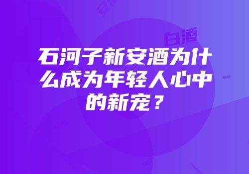 石河子新安酒为什么成为年轻人心中的新宠？