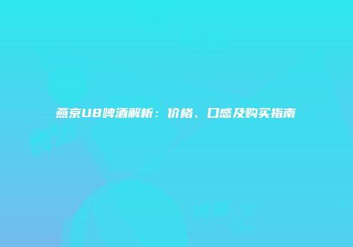 燕京U8啤酒解析：价格、口感及购买指南