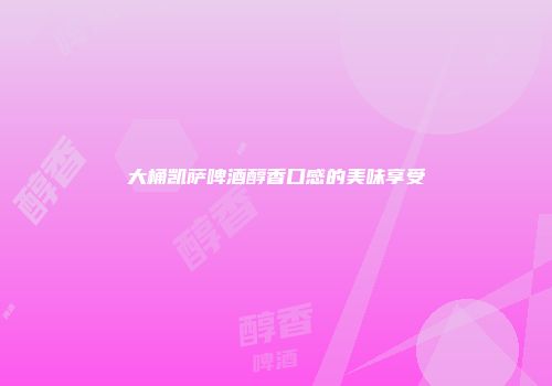 大桶凯萨啤酒醇香口感的美味享受