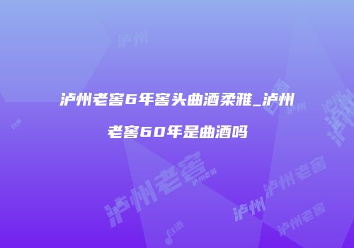 泸州老窖6年窖头曲酒柔雅_泸州老窖60年是曲酒吗