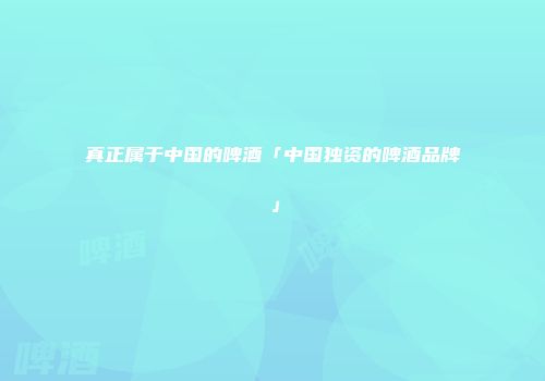 真正属于中国的啤酒「中国独资的啤酒品牌」