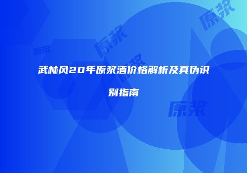 武林风20年原浆酒价格解析及真伪识别指南