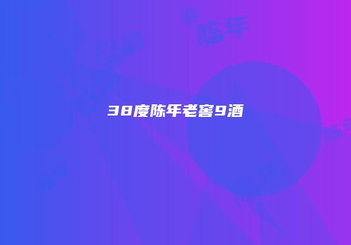 38度陈年老窖9酒