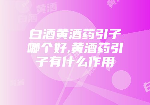 白酒黄酒药引子哪个好,黄酒药引子有什么作用