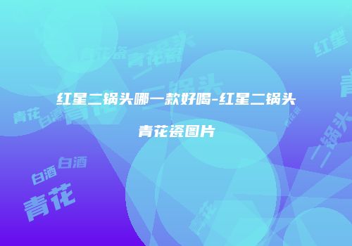 红星二锅头哪一款好喝-红星二锅头青花瓷图片