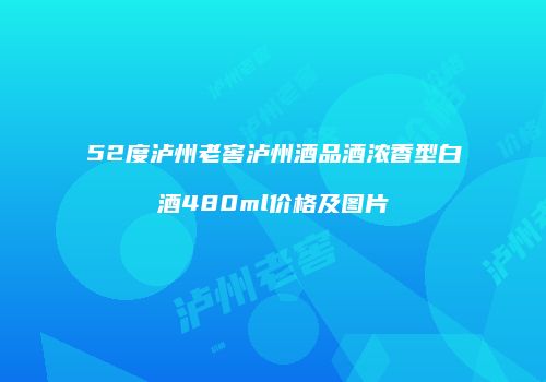 52度泸州老窖泸州酒品酒浓香型白酒480ml价格及图片