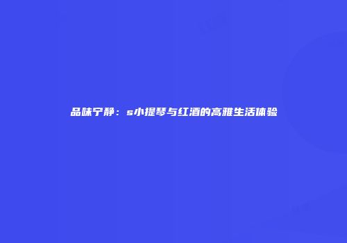 品味宁静：s小提琴与红酒的高雅生活体验