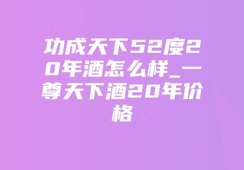 功成天下52度20年酒怎么样_一尊天下酒20年价格