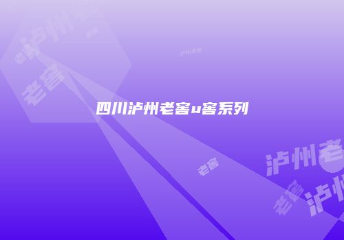 四川泸州老窖u窖系列