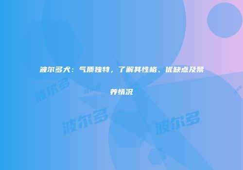 波尔多犬：气质独特，了解其性格、优缺点及禁养情况
