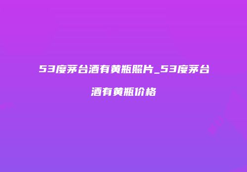 53度茅台酒有黄瓶照片_53度茅台酒有黄瓶价格