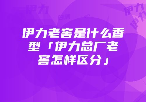 伊力老窖是什么香型「伊力总厂老窖怎样区分」