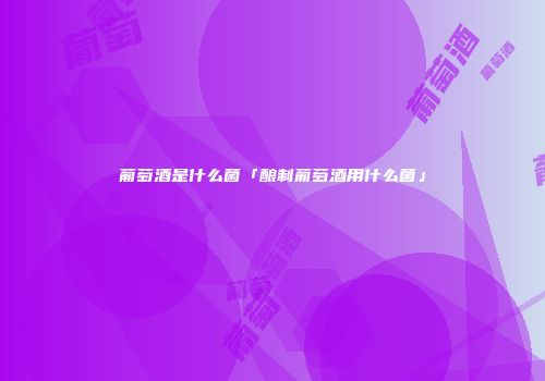 葡萄酒是什么菌「酿制葡萄酒用什么菌」