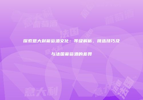 探索意大利葡萄酒文化：等级解析、挑选技巧及与法国葡萄酒的差异