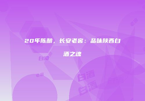 20年陈酿，长安老窖：品味陕西白酒之魂
