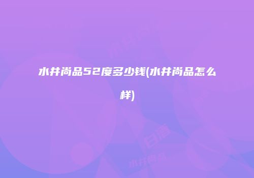 水井尚品52度多少钱(水井尚品怎么样)