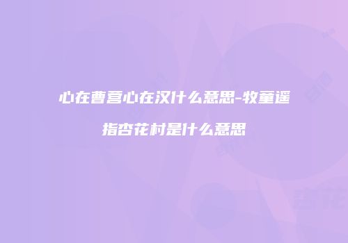 心在曹营心在汉什么意思-牧童遥指杏花村是什么意思