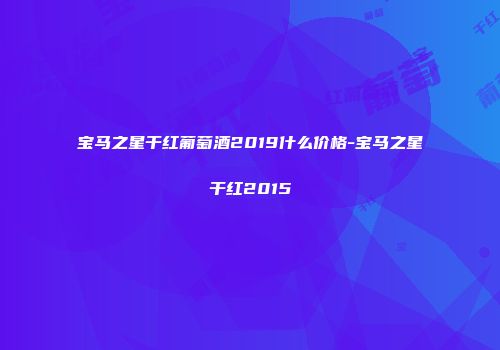 宝马之星干红葡萄酒2019什么价格-宝马之星干红2015