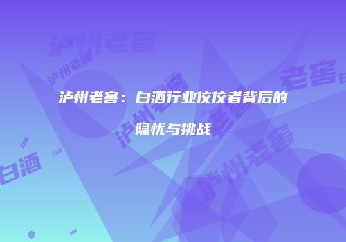 泸州老窖：白酒行业佼佼者背后的隐忧与挑战