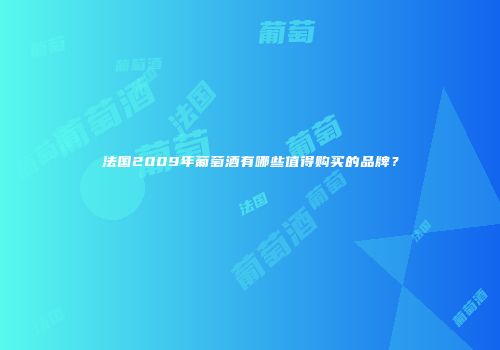 法国2009年葡萄酒有哪些值得购买的品牌？