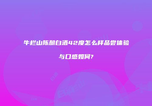 牛栏山陈酿白酒42度怎么样品尝体验与口感如何?