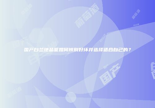国产白兰地品鉴如何辨别好坏并选择适合自己的？