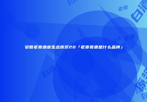 安徽老贡酒业生态原浆20「老贡贡酒是什么品牌」