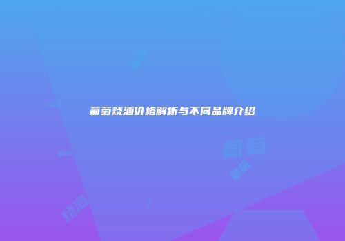葡萄烧酒价格解析与不同品牌介绍