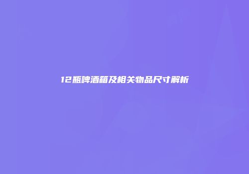 12瓶啤酒箱及相关物品尺寸解析