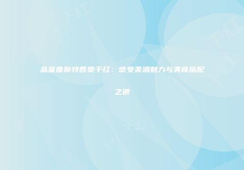 品鉴鲁斯特西贡干红：感受美酒魅力与美食搭配之道
