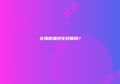 北海啤酒纯生好喝吗？