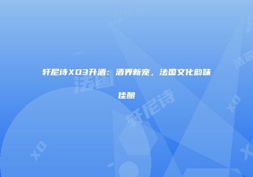 轩尼诗XO3升酒：酒界新宠，法国文化韵味佳酿